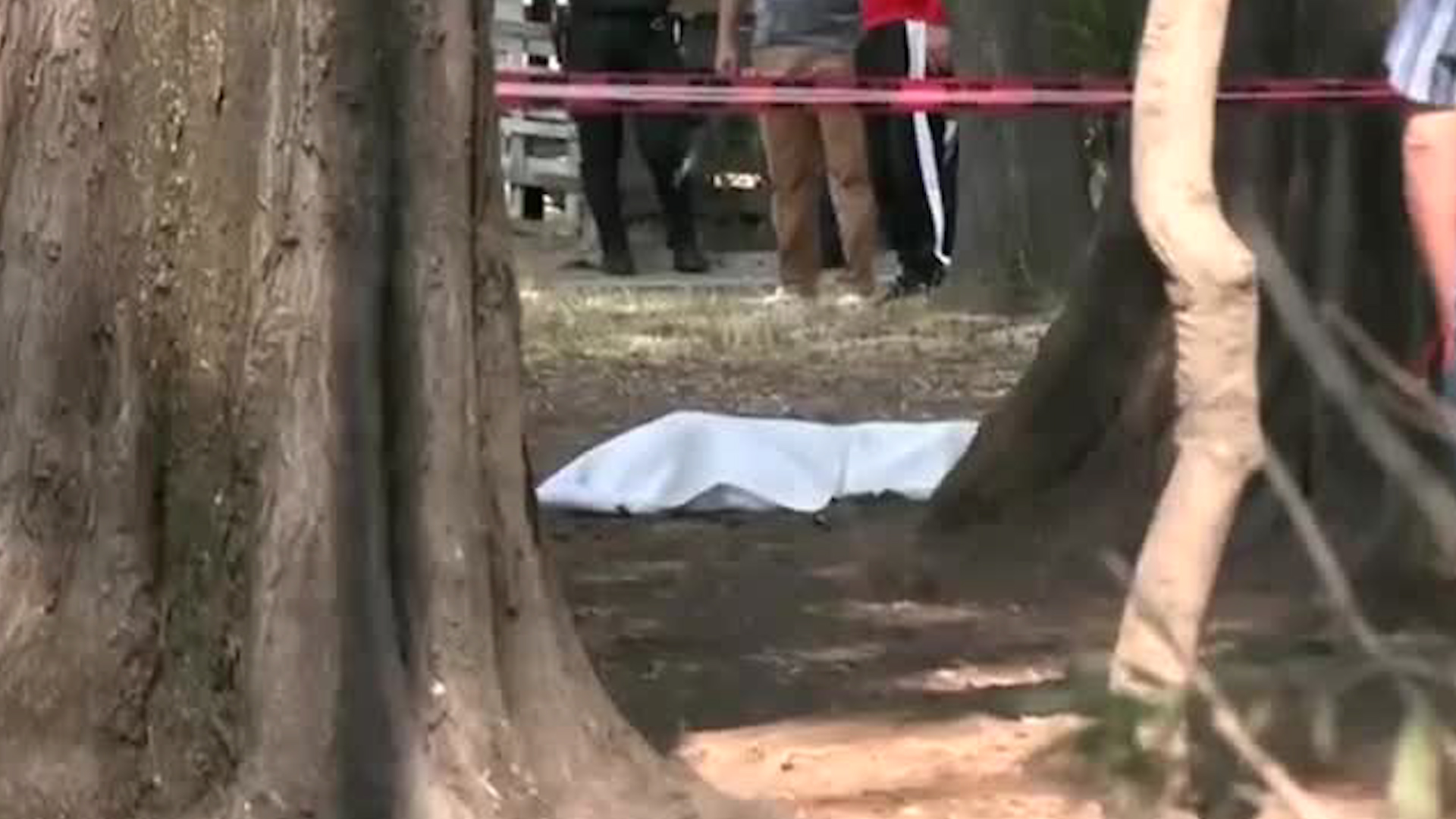 La unidad del Metrobús impactó al ciclista, quien presuntamente estaría viajando por el carril confinado.