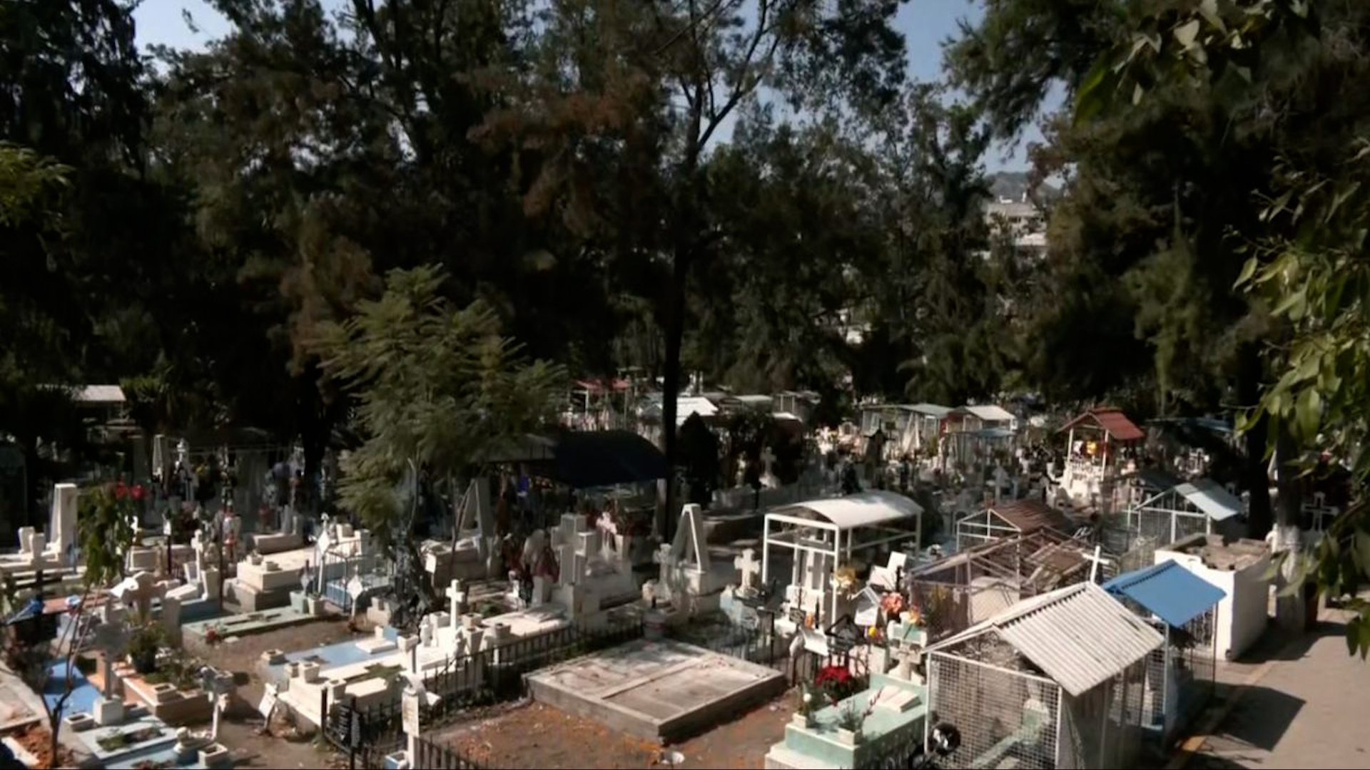 La alcaldía Gustavo A. Madero informó que brindarán acompañamiento a la familia de la víctima y cooperarán con la fiscalía para facilitar la investigación.