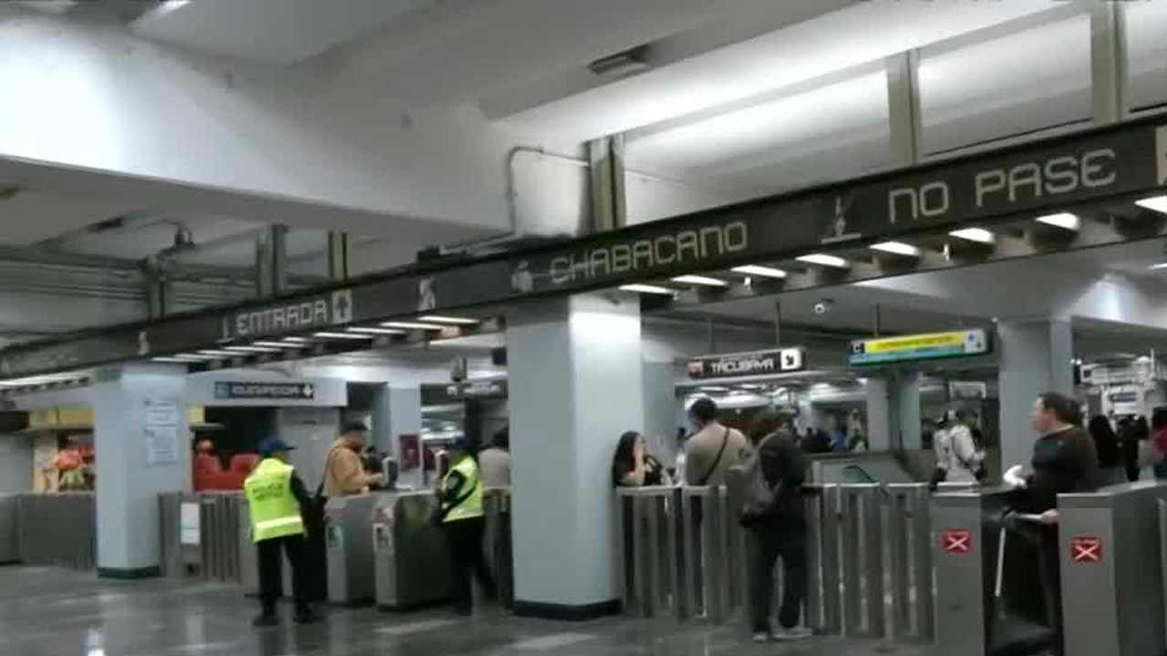 Un perrito fue rescatado de las vías del Metro en la Línea 9, presuntamente en la estación Puebla, lo que obligó a suspender el servicio en toda la ruta.