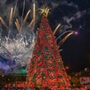 Gran árbol de Navidad cónico y alto, decorado con luces, listones rojos y moños, iluminado por la noche en la plaza. En el cielo oscuro estallan pirotecnia