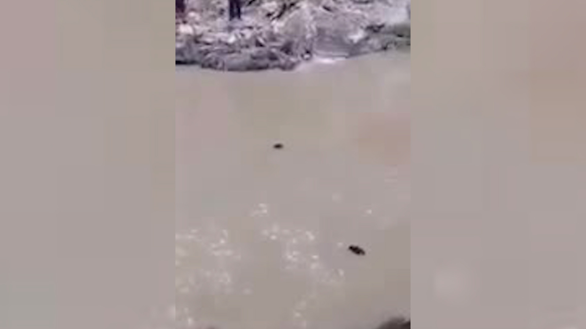 Testimonios indican que, al percatarse de la inminente llegada de los pobladores enfurecidos.