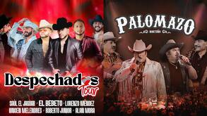 palomazo norteño y despechados tour eventos puebla