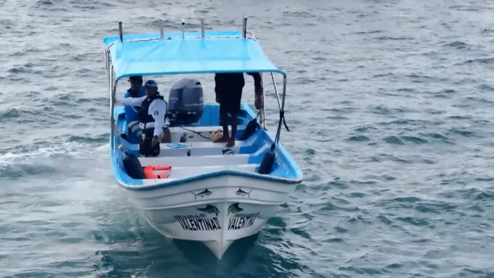 Accidente fatal en Playa Olas Altas. Una turista de nacionalidad estadounidense perdió la vida al impactar la embarcación en la que viajaba contra un cetáceo.