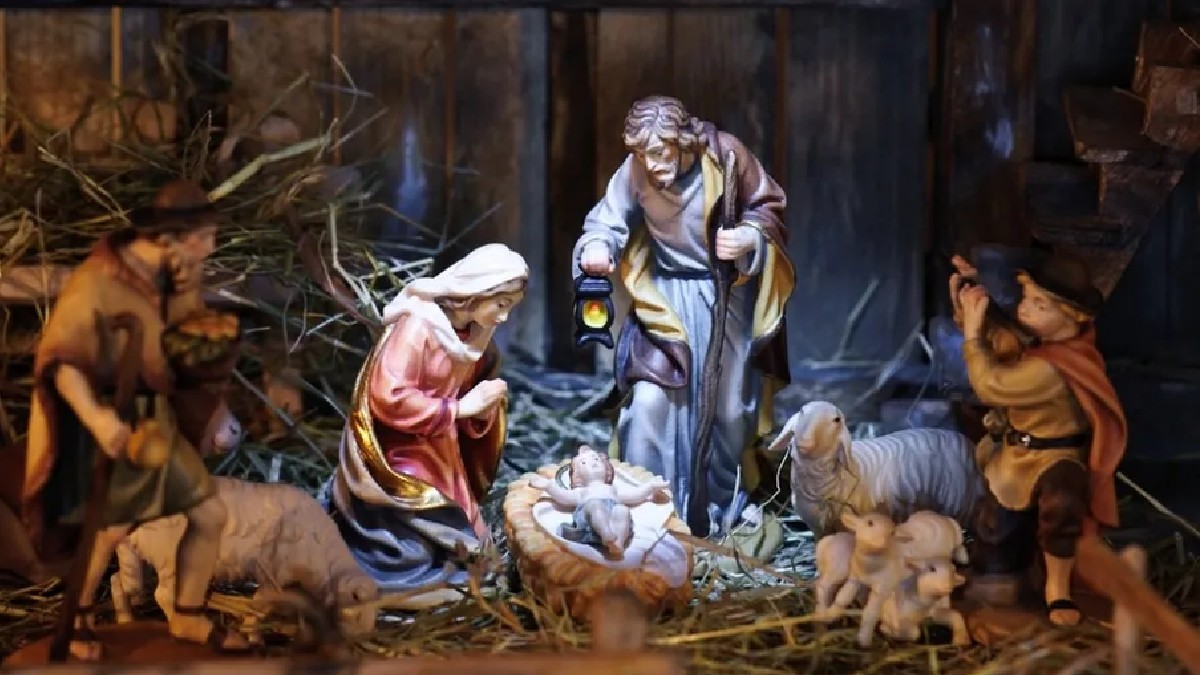 Nacimiento de navidad con heno y musgo, plantas que se declaran ilegales.