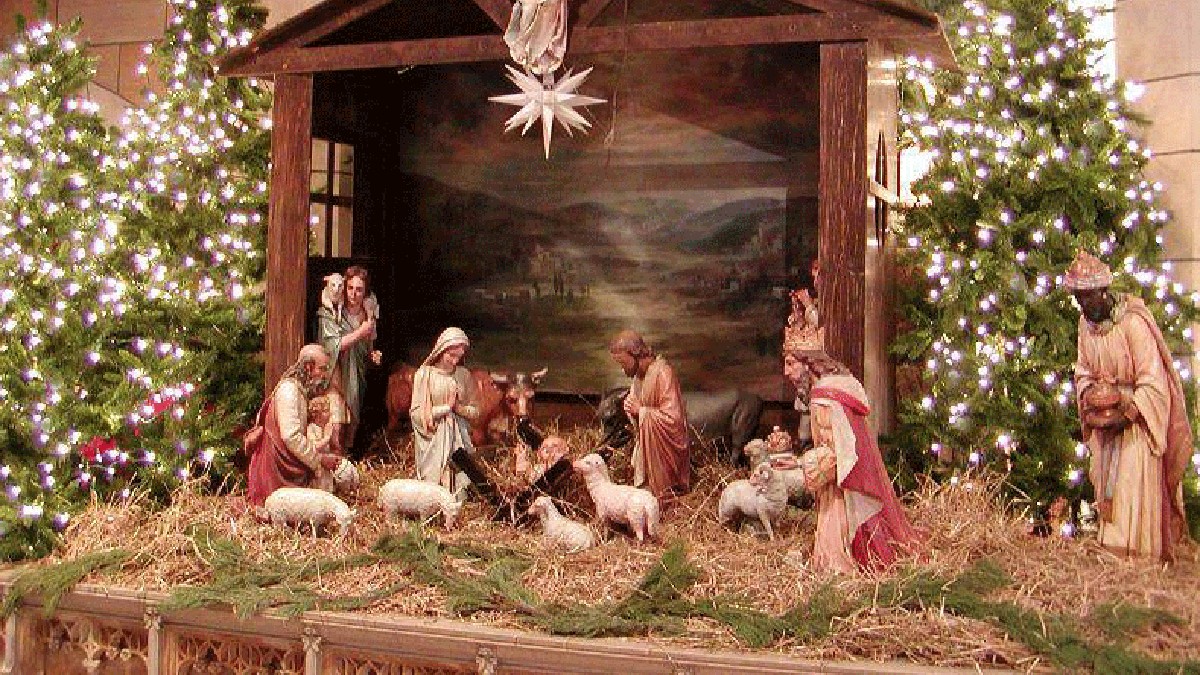 La temporada decembrina en México es sinónimo de arraigadas tradiciones familiares, la instalación del Nacimiento, pero hay algo ilegal en ellos, ¿lo conoces?.