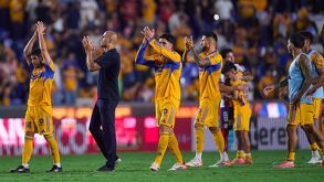 Guido Pizarro festejando un triunfo de Tigres como Director Técnico.