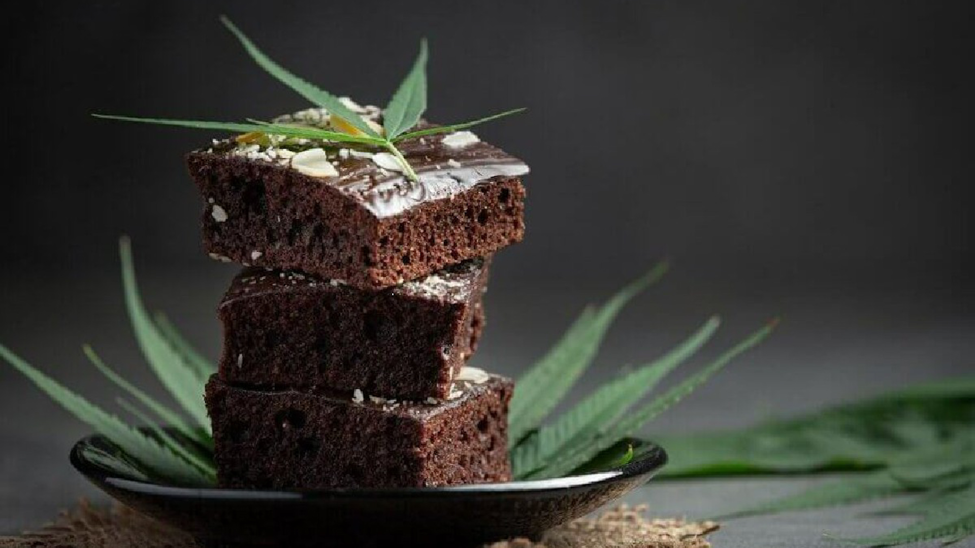 Las hermanitas acudieron con su padre al corte de elote y tomaron un par de galletas alojadas en la bolsa de un jornalero.