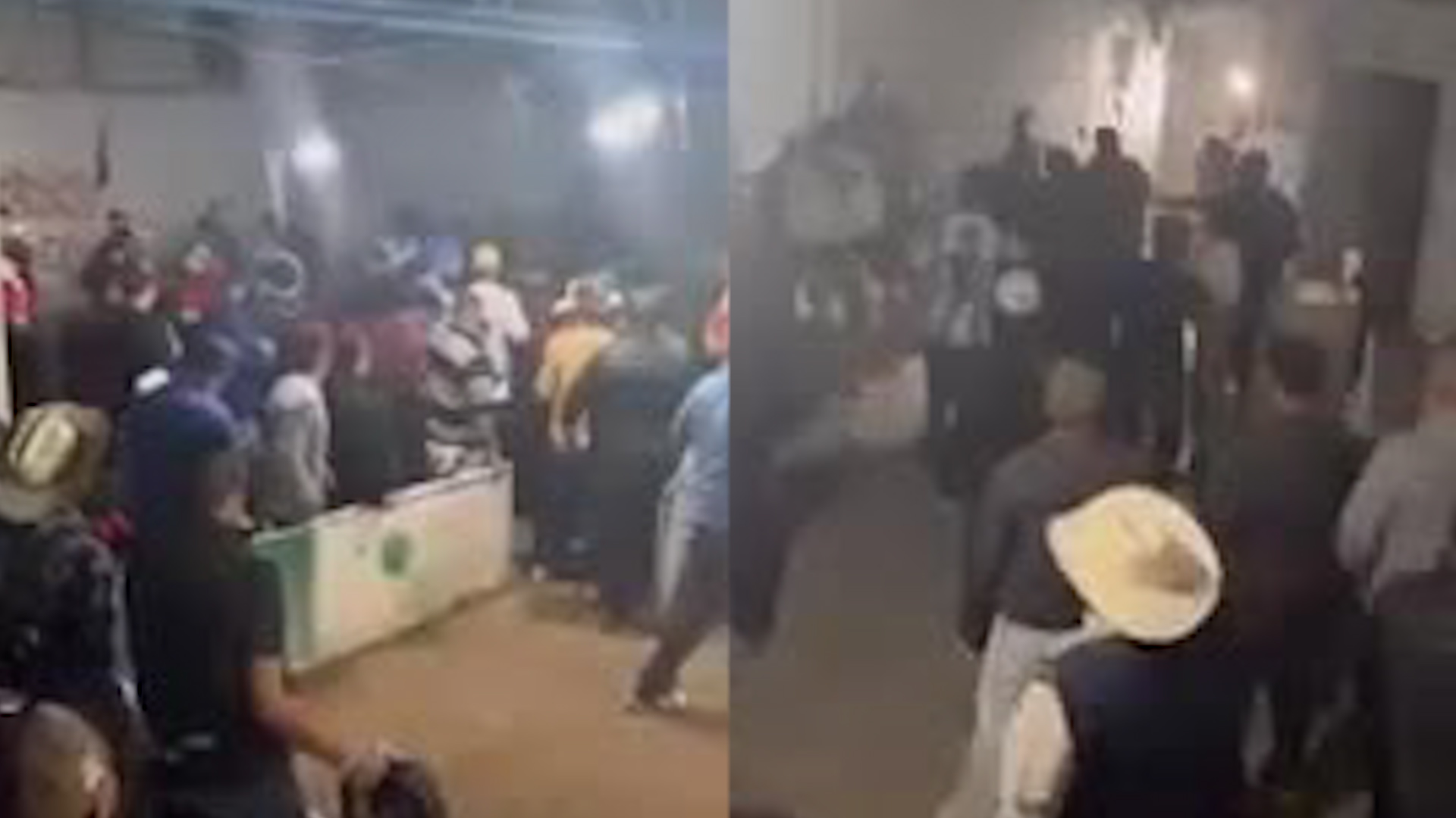 Una pelea de gallos clandestina terminó mal luego de que los asistentes protagonizaran una batalla campal en el lugar en el que se llevaba a cabo.