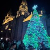 Gran árbol de Navidad cónico, iluminado con luces verdes y blancas, en una plaza con gente. Detrás se alza la Catedral de Guadalajara con iluminación cálida.