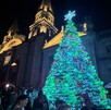 Gran árbol de Navidad cónico, iluminado con luces verdes y blancas, en una plaza con gente. Detrás se alza la Catedral de Guadalajara con iluminación cálida.