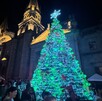 Gran árbol de Navidad cónico, iluminado con luces verdes y blancas, en una plaza con gente. Detrás se alza la Catedral de Guadalajara con iluminación cálida.