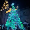 Gran árbol de Navidad cónico, iluminado con luces verdes y blancas, en una plaza con gente. Detrás se alza la Catedral de Guadalajara con iluminación cálida.