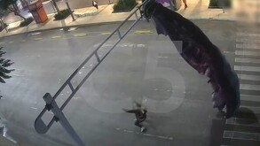 Paracaidista atorado en semáforo de Balderas y Juárez, Ciudad de México.