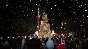Se observa un pino de navidad muy grande con luces y alrededor a muchas personas observándolo.