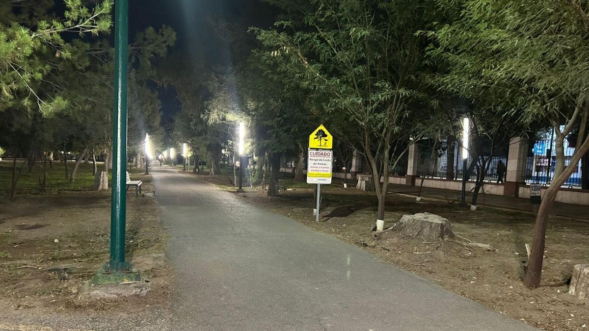 Bosque Venustiano Carranza ya iluminado