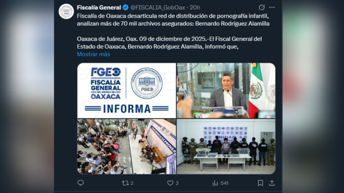 fiscalía de oaxaca desarticula red de pornografía infantil