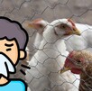 Gallinas dentro de un corral y al lado un hombre animado