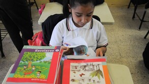 Se observa a una niña con un libro dentro de un salón de clases.