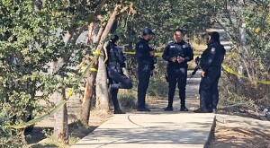 Oficiales de la Policía Municipal de Guadalajara parados sobre la banqueta en el área acordonada con árboles alrededor