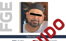 Ficha de búsqueda de la FGEM