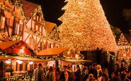 Casas decoradas con luces navideñas, un pino y grupo de personas