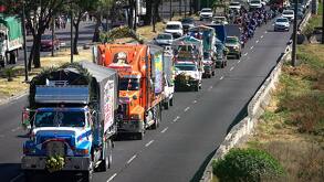 Vehículos adornados en honor a la Virgen de Guadalupe, siguiendo una caravana.