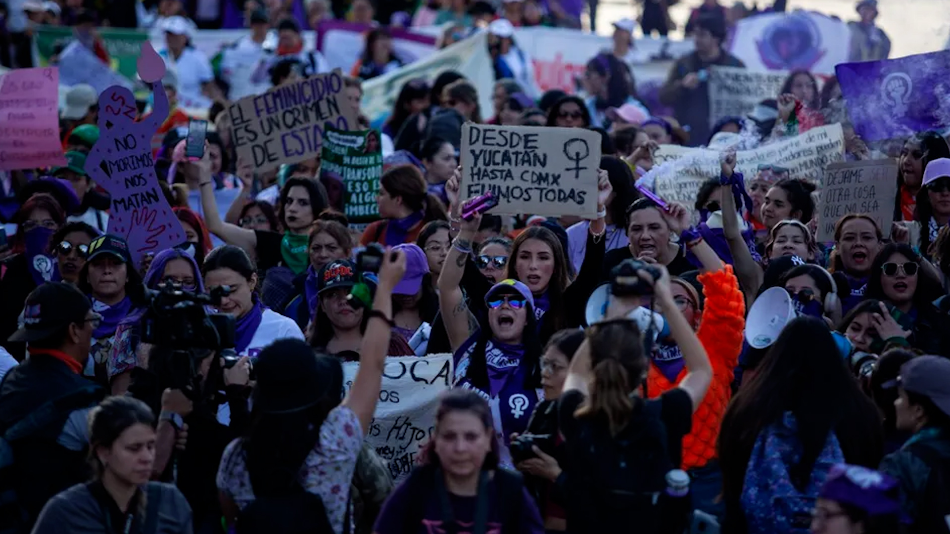 La iniciativa desarrollada junto con Colombia y Ecuador forma parte del programa global para atender agresiones en medios digitales.