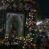 Millones de mexicanos acuden a la Basílica para celebrar a la Virgen de Guadalupe