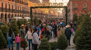 Multitud de familias comprando árboles de navidad en calles de Guadalajara durante un día soleado