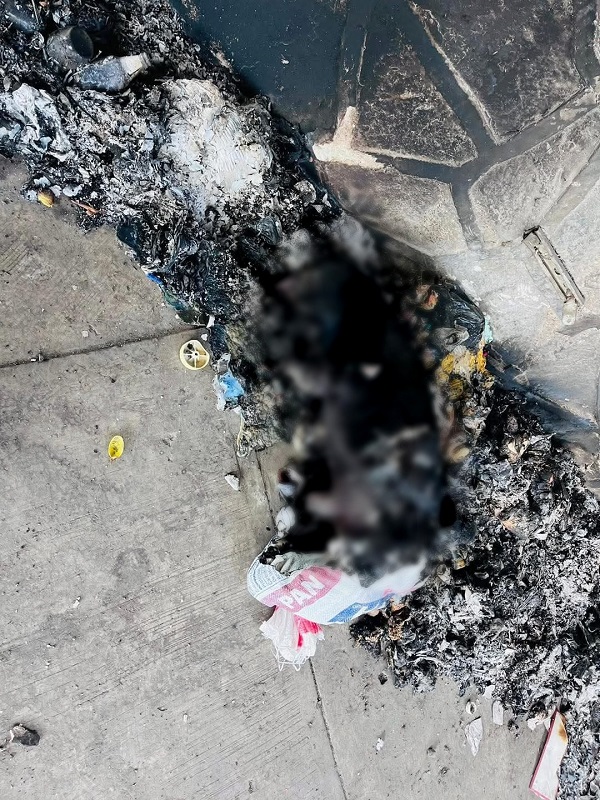 Restos de un perro quemado en la ciudad de Tlaxcala.