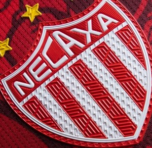 La marca Pirma fue la encargada de elaborar el jersey.