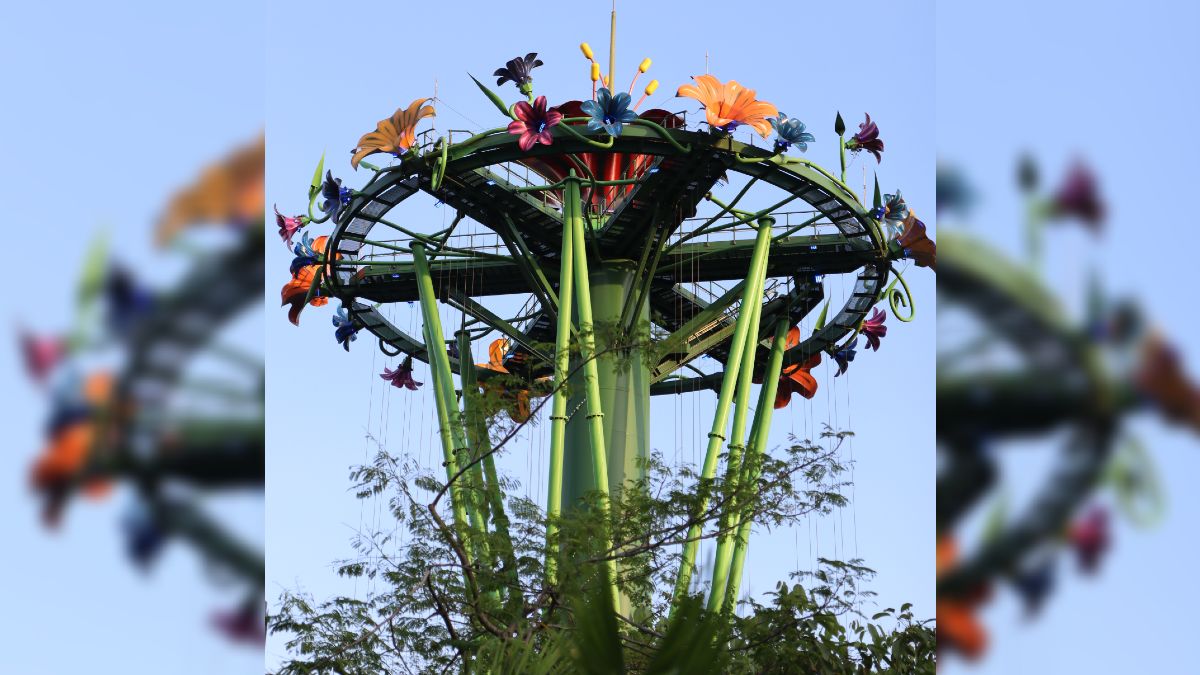 cirque du soleil ludo