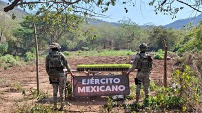 Dos soldados del Ejército Mexicano de espaldas sostienen una lona frente a filas de pequeñas plantas verdes en un terreno rural con árboles.