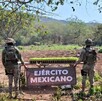 Dos soldados del Ejército Mexicano de espaldas sostienen una lona frente a filas de pequeñas plantas verdes en un terreno rural con árboles.