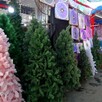 Árboles de Navidad de distintos colores y tamaños exhibidos junto a luces y adornos navideños en medio de un tianguis con personas y vendedores alrededor