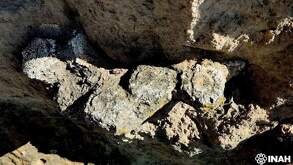 fósiles de gilpodonte hallados en amozoc, puebla