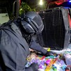 Elemento del Escuadrón Antiexplosivos de Guadalajara asegurando pirotecnia a granel colocada sobre una patrulla de policía y frente a una jaula de perro