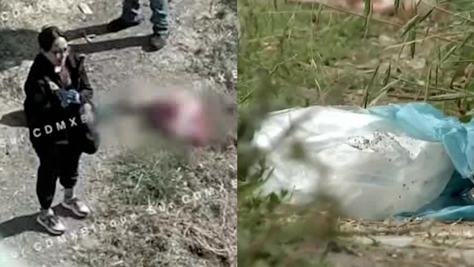 El recién nacido varón, aún con el cordón umbilical, fue envuelto en un suéter y puesto en una bolsa de plástico.