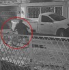 Joven que fue captado robando una motocicleta de una vivienda en la colonia Fidel Velázquez de Torreón.