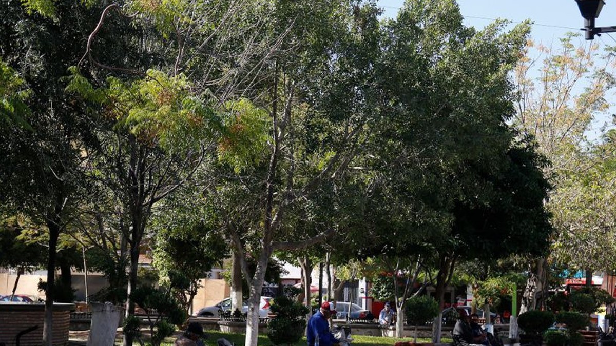 foto genérica del centro de Gómez Palacio.