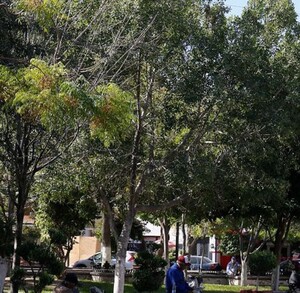 foto genérica del centro de Gómez Palacio.