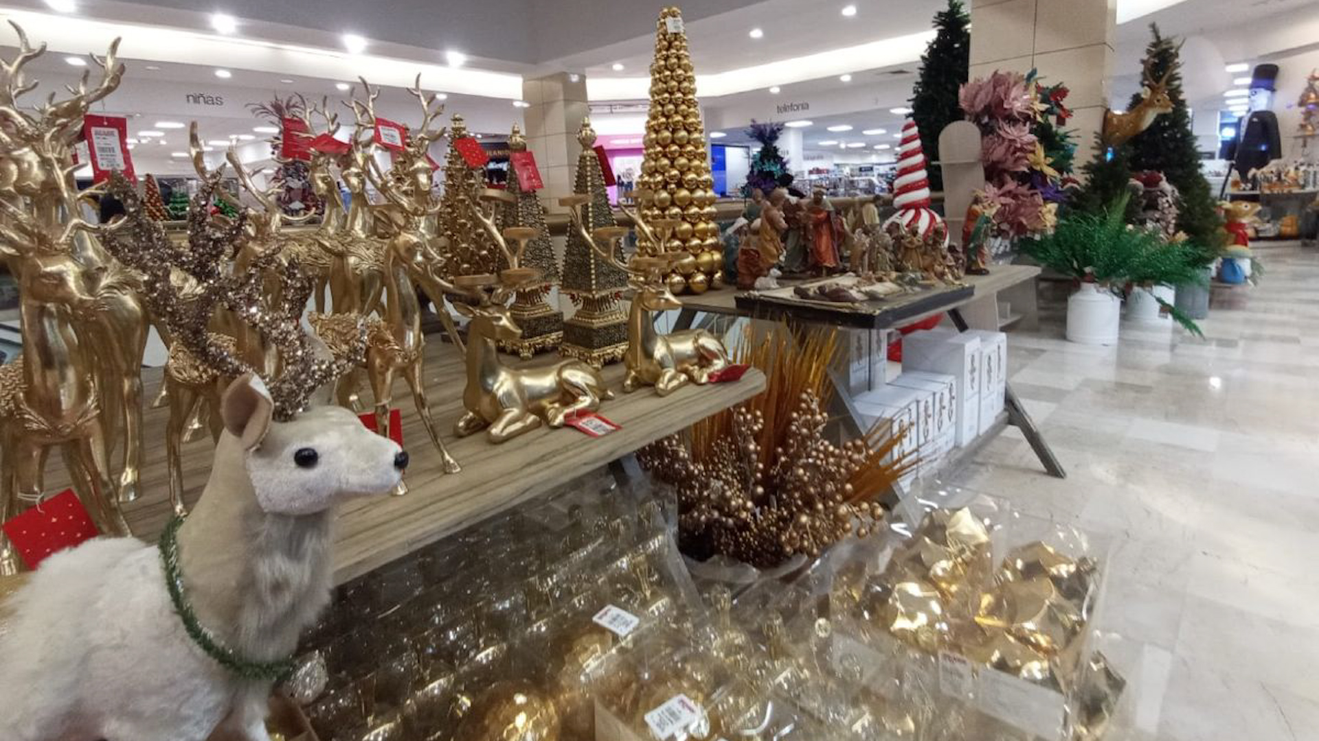 CANACO Monterrey estima una derrama superior a 56 mil millones de pesos por las compras de la temporada navideña en Nuevo León.