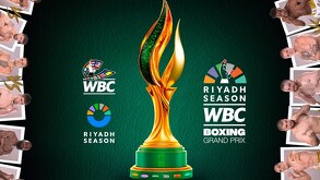 Trofeo José Sulaimán: La flama de la Esperanza sobre su base verde, redonda, sólida.