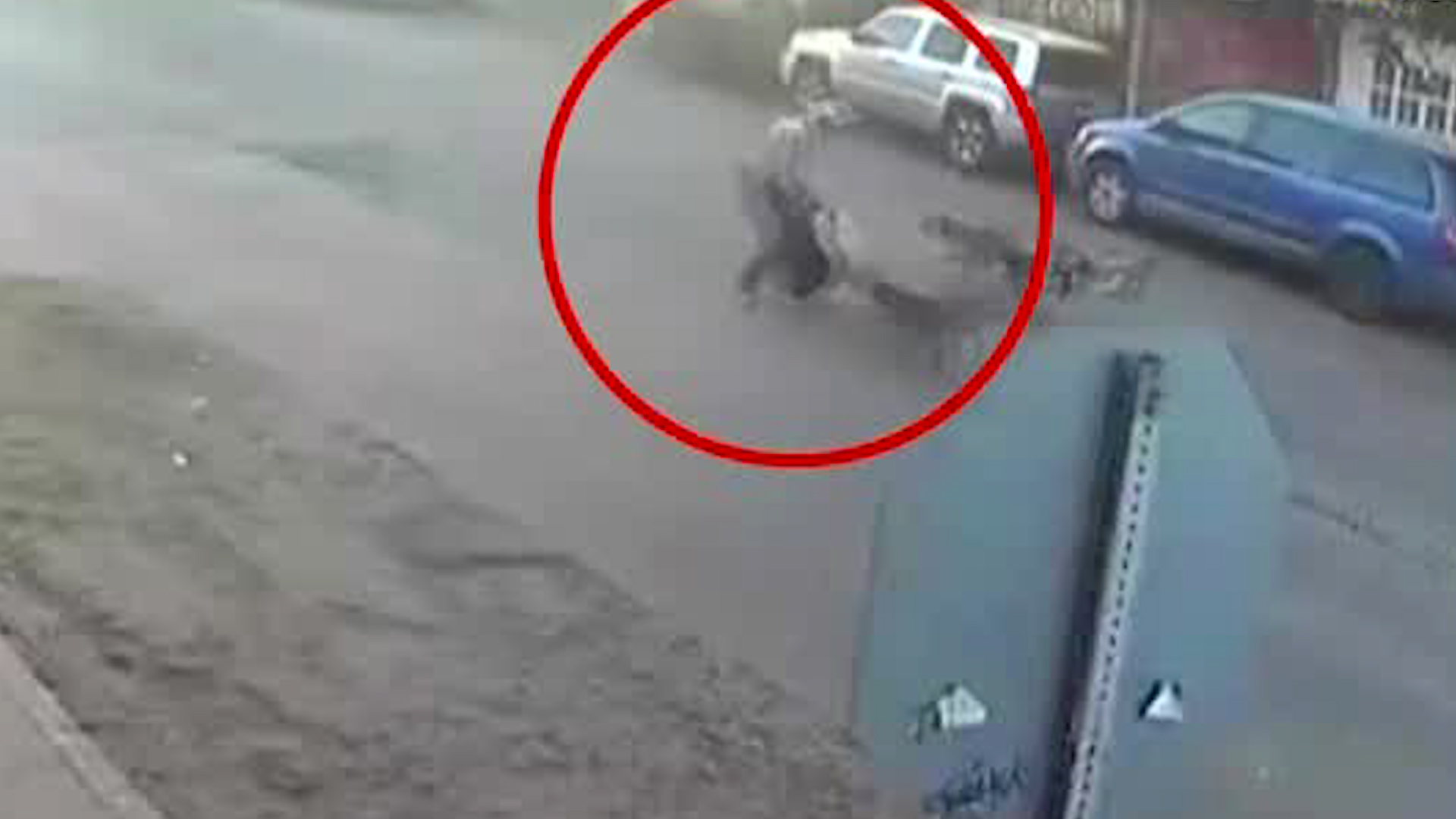 Un grupo de canes ha atacado a personas que transitan por las calles de esta colonia.