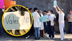 Personas vestidas de color blanco sosteniendo pancartas durante una protesta en Veracruz, México.