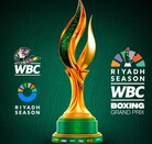 Trofeo José Sulaimán: La flama de la Esperanza sobre su base verde, redonda, sólida.