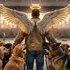 Un hombre de espaldas con grandes alas blancas y una aureola de ángel está rodeado de perros en un refugio frente a un ventanal al atardecer.