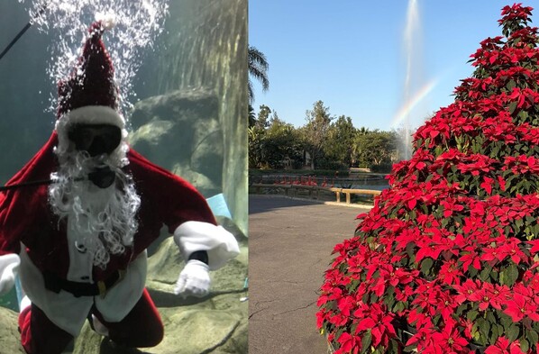 Santa Claus sentado en un gran trono rojo con una niña y un duende en un set navideño decorado con guirnaldas del Zoológico Guadalajara.