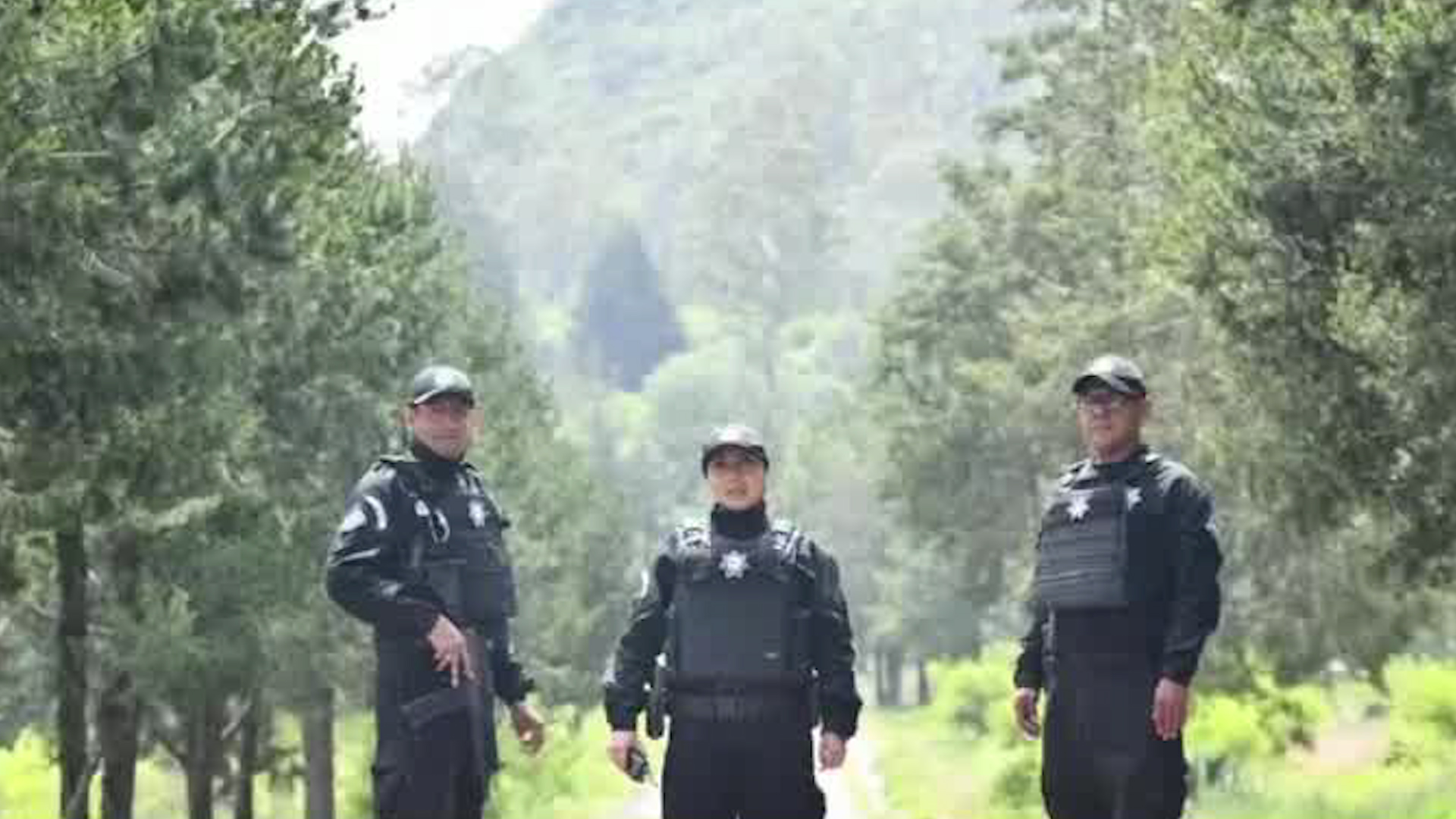 La Secretaria de Seguridad del Estado de México desplegó dos mil 194 elementos en los 125 municipios del estado para seguridad de los habitantes.