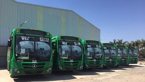 Fila de camiones de transporte público color verde (Ruta 614 / C37) estacionados frente a una bodega, bajo un cielo despejado y soleado.